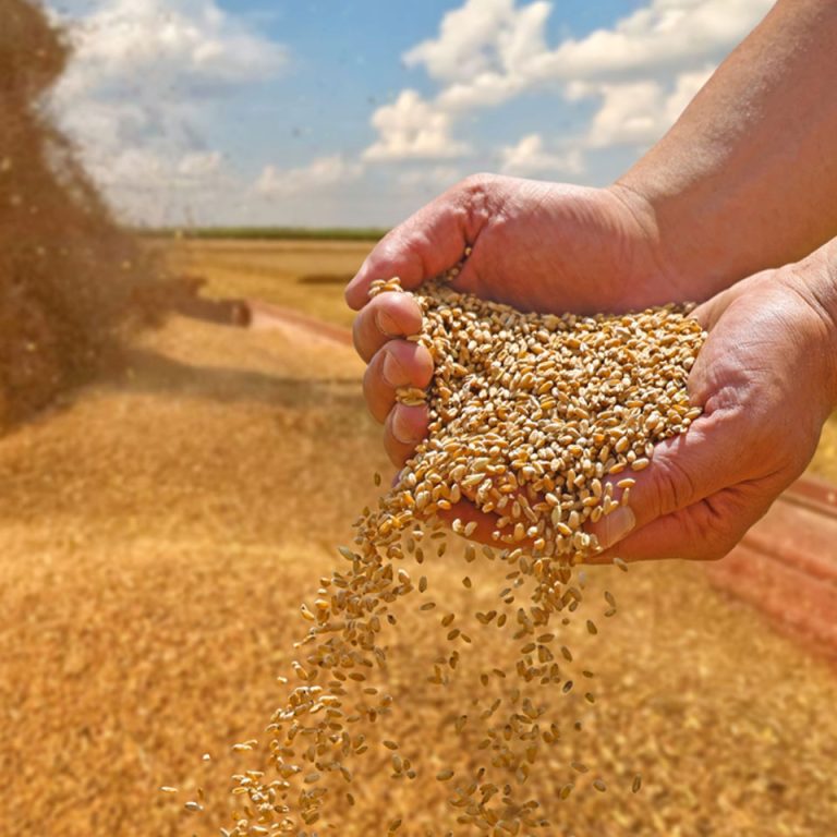 کارکرد دستگاه بوجاری